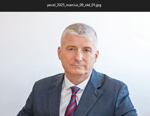 Ferdinandy Kicsi