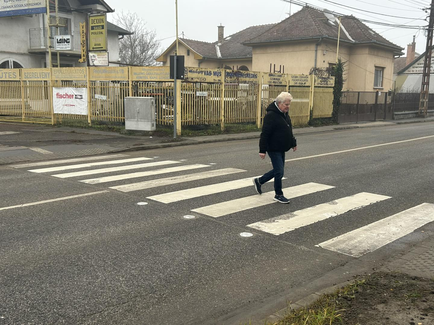 Okoszebra1